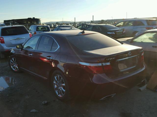 JTHBL46F795089163 - 2009 LEXUS LS 460 BURGUNDY photo 3