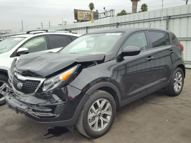 KNDPB3AC7G7873233 - 2016 KIA SPORTAGE L BLACK photo 2