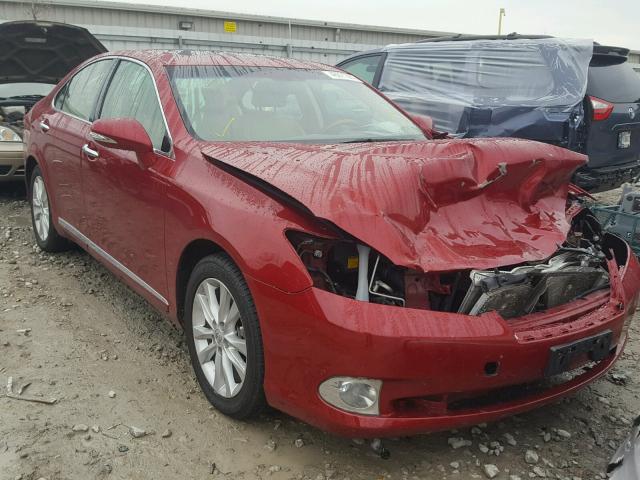 JTHBK1EG9A2372441 - 2010 LEXUS ES 350 RED photo 1