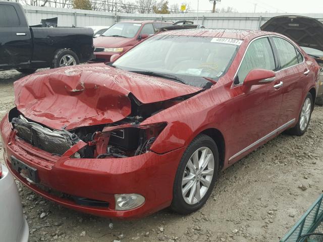 JTHBK1EG9A2372441 - 2010 LEXUS ES 350 RED photo 2