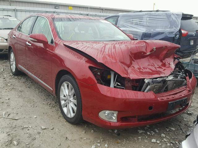 JTHBK1EG9A2372441 - 2010 LEXUS ES 350 RED photo 7