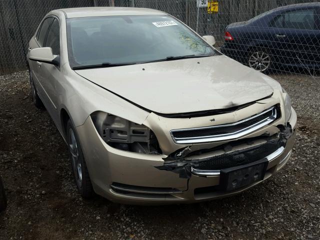 1G1ZC5E05AF247770 - 2010 CHEVROLET MALIBU 1LT თაფლისფერი ფოტო 1