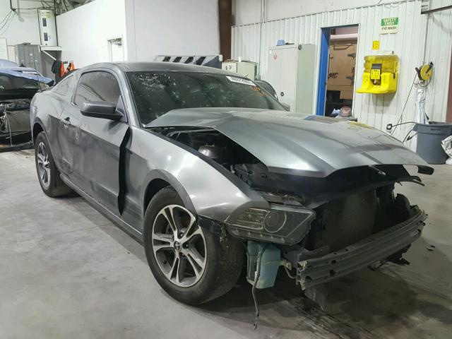 1ZVBP8AM6E5232551 - 2014 FORD MUSTANG GRAY photo 1