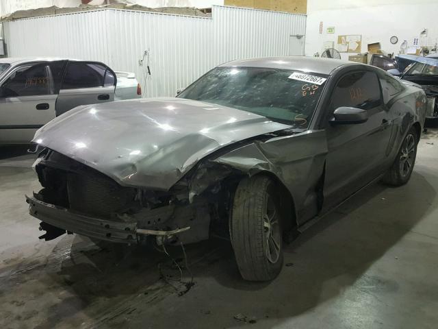1ZVBP8AM6E5232551 - 2014 FORD MUSTANG GRAY photo 2