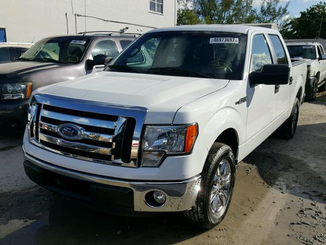 1FTFW1CT4CKE37187 - 2012 FORD F150 WHITE photo 2