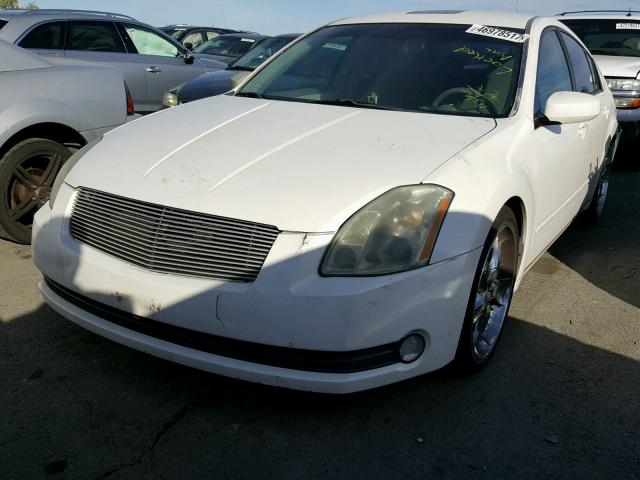 1N4BA41EX4C864958 - 2004 NISSAN MAXIMA SE WHITE photo 2