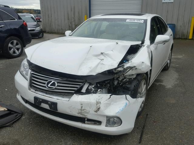 JTHBK1EG2A2407417 - 2010 LEXUS ES 350 WHITE photo 2