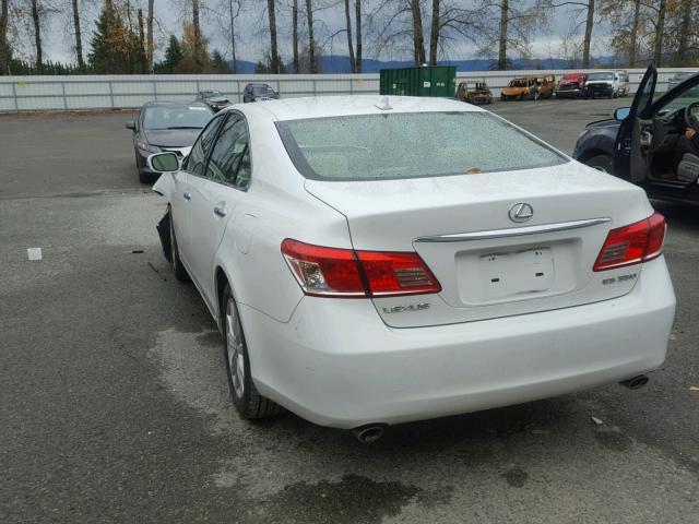 JTHBK1EG2A2407417 - 2010 LEXUS ES 350 WHITE photo 3