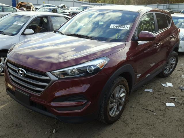 KM8J23A4XGU033295 - 2016 HYUNDAI TUCSON SE RED photo 2