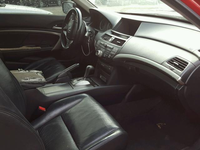 1HGCS12828A029913 - 2008 HONDA ACCORD EXL RED photo 5