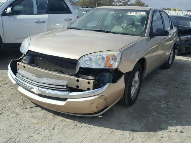 1G1ZT52864F247324 - 2004 CHEVROLET MALIBU LS 金色 照片 2