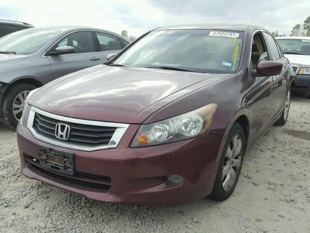 1HGCP36818A083386 - 2008 HONDA ACCORD EXL PURPLE photo 2