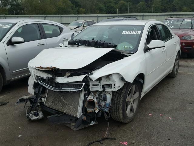 1G1ZC5EU2BF287325 - 2011 CHEVROLET MALIBU 1LT 白色 照片 2