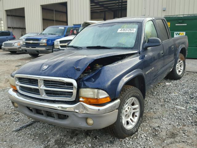 1B7HL48N82S587248 - 2002 DODGE DAKOTA QUA BLUE photo 2