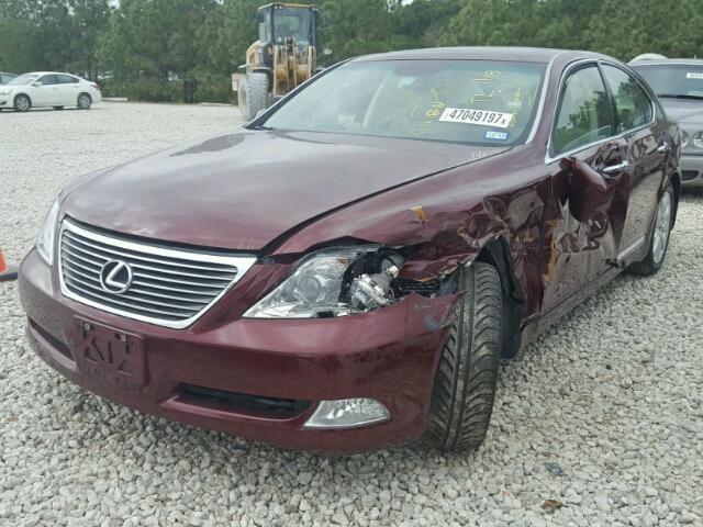 JTHBL46F785066562 - 2008 LEXUS LS 460 BURGUNDY photo 2