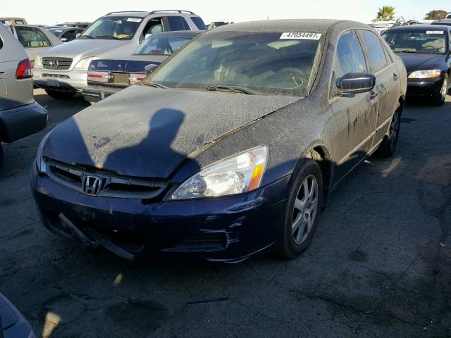 1HGCM56376A150269 - 2006 HONDA ACCORD SE BLUE photo 2