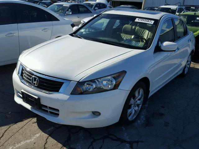 1HGCP36849A030263 - 2009 HONDA ACCORD EXL WHITE photo 2