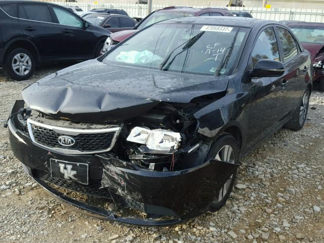 KNAFU4A23D5739472 - 2013 KIA FORTE EX BLACK photo 2