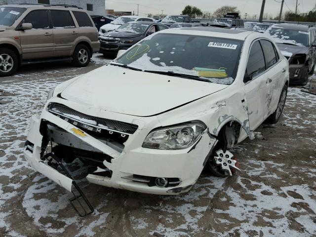 1G1ZK577584242605 - 2008 CHEVROLET MALIBU LTZ 白色 照片 2