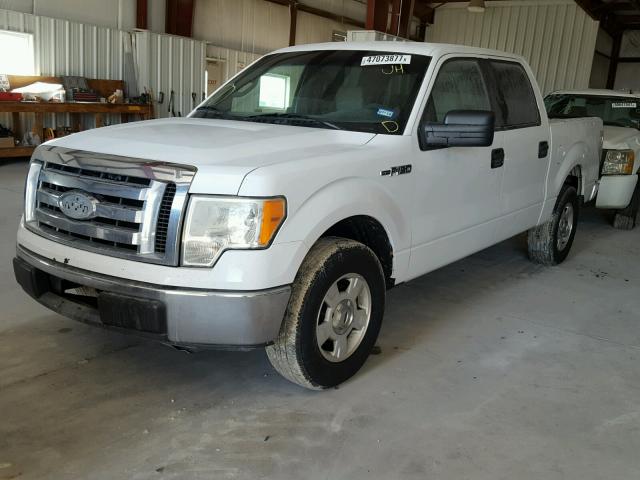 1FTRW12819FA53363 - 2009 FORD F150 SUPER WHITE photo 2