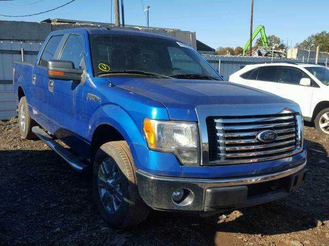 1FTEW1C85AFC90648 - 2010 FORD F150 BLUE photo 1