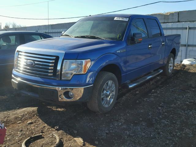 1FTEW1C85AFC90648 - 2010 FORD F150 BLUE photo 2