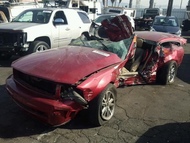 1ZVFT80N555139446 - 2005 FORD MUSTANG RED photo 2