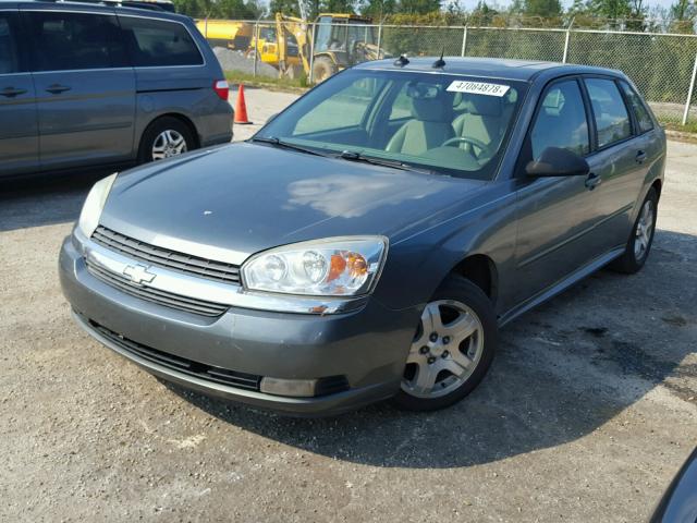 1G1ZU64815F191911 - 2005 CHEVROLET MALIBU MAX მწვანე ფოტო 2