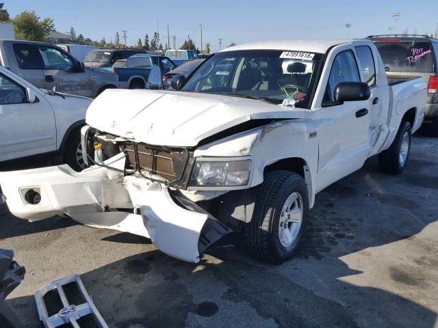 1D3HE38P89S783410 - 2009 DODGE DAKOTA SXT WHITE photo 2