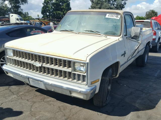 1GCGC24M1BZ119799 - 1981 CHEVROLET C20 CREAM photo 2