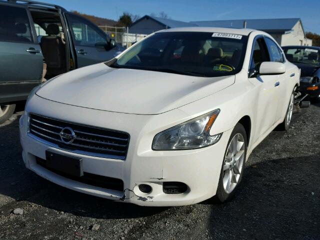 1N4AA5AP4BC861912 - 2011 NISSAN MAXIMA S WHITE photo 2