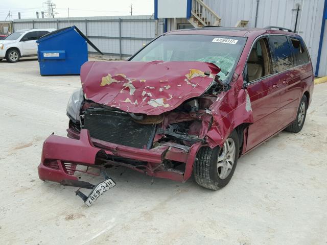 5FNRL38705B007220 - 2005 HONDA ODYSSEY EX RED photo 2