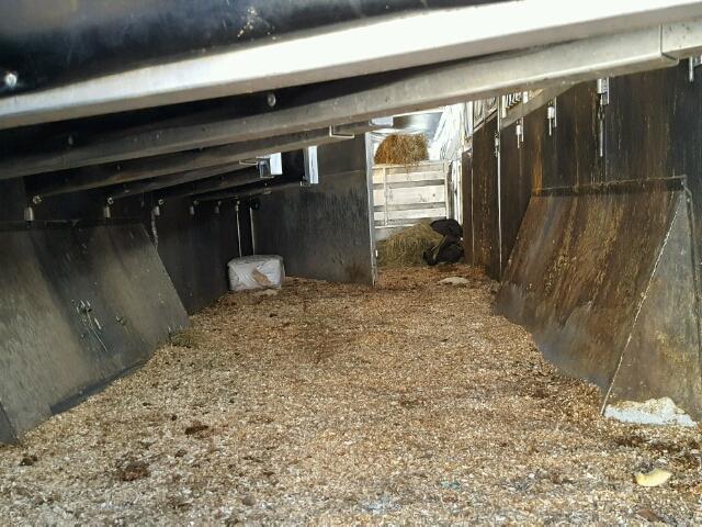 13SKJ3623H1KB5124 - 2017 SUND HORSE TRLR Krem foto 5