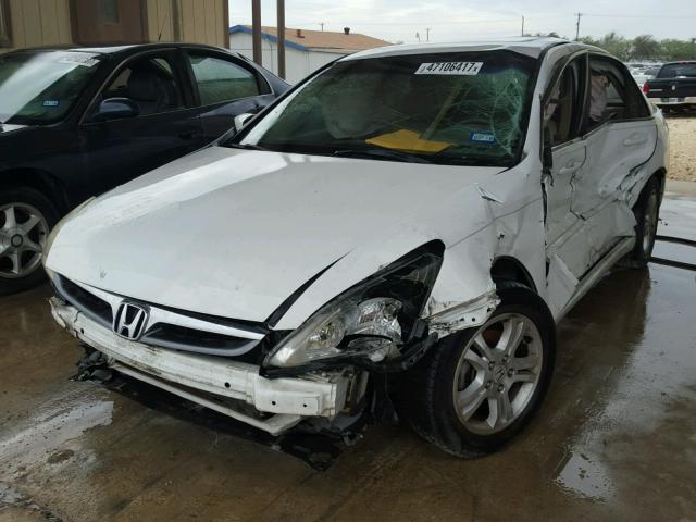 1HGCM56837A062445 - 2007 HONDA ACCORD EX WHITE photo 2