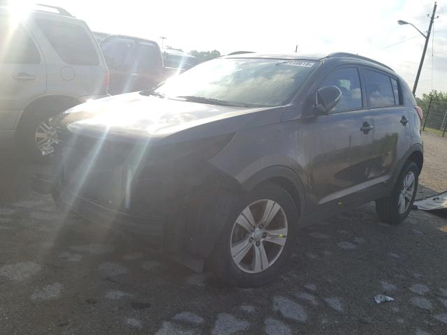 KNDPB3A22D7401072 - 2013 KIA SPORTAGE B BROWN photo 2