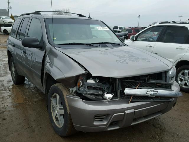 1GNDT13S052368290 - 2005 CHEVROLET TRAILBLAZE GRAY photo 1