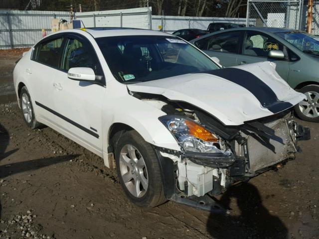 1N4CL21E58C271274 - 2008 NISSAN ALTIMA HYB WHITE photo 1