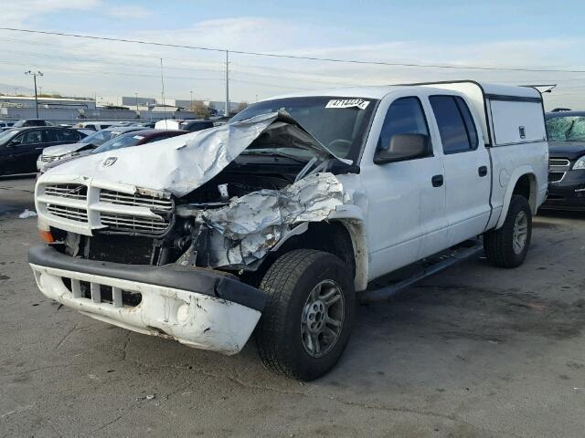 1B7GG2AZ81S212346 - 2001 DODGE DAKOTA QUA WHITE photo 2