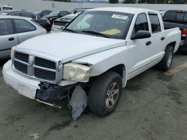 1D7HE48N25S194611 - 2005 DODGE DAKOTA QUA WHITE photo 2