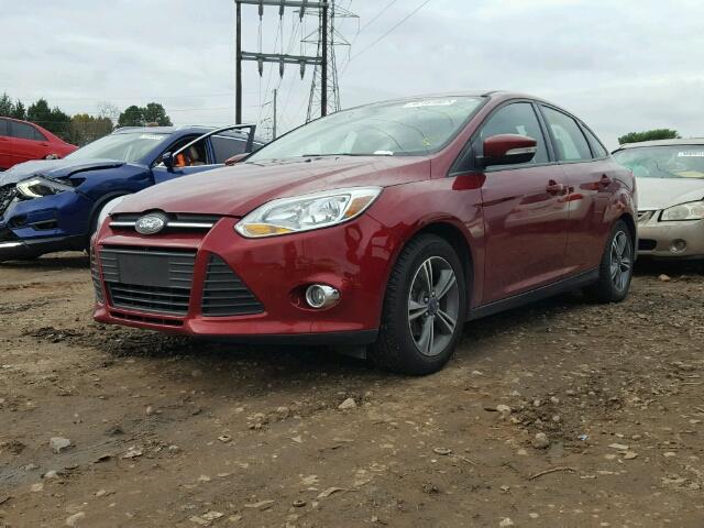 1FADP3F2XEL338914 - 2014 FORD FOCUS SE RED photo 2