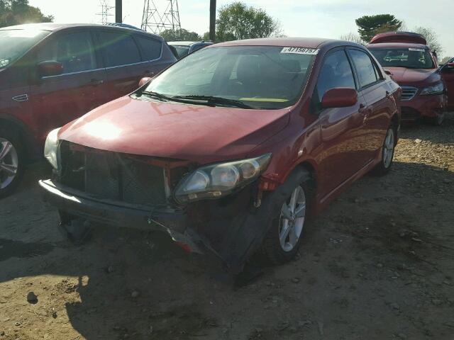 2T1BU4EE9BC686766 - 2011 TOYOTA COROLLA BA RED photo 2