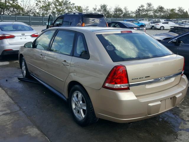 1G1ZT62815F160342 - 2005 CHEVROLET MALIBU MAX 棕色 照片 3