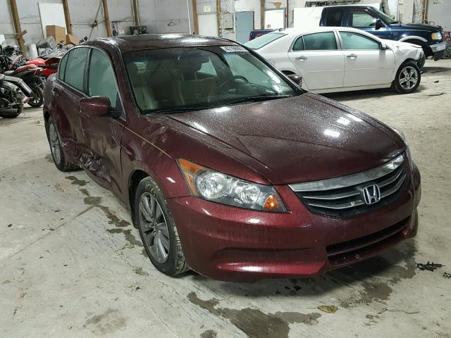 1HGCP2F82CA195715 - 2012 HONDA ACCORD EXL BURGUNDY photo 1