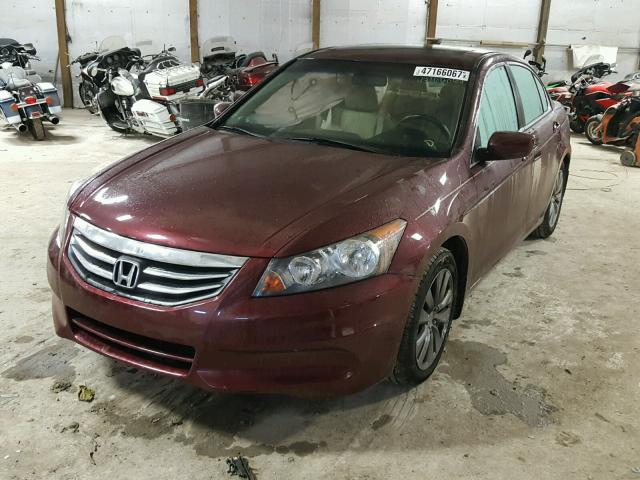 1HGCP2F82CA195715 - 2012 HONDA ACCORD EXL BURGUNDY photo 2