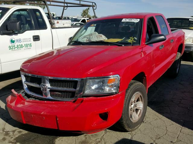 1D7HE48N28S626232 - 2008 DODGE DAKOTA QUA RED photo 2