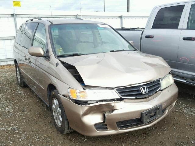 5FNRL18874B125809 - 2004 HONDA ODYSSEY EX BROWN photo 1