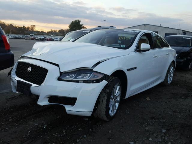 SAJWJ1CD9G8W00881 - 2016 JAGUAR XJ WHITE photo 2