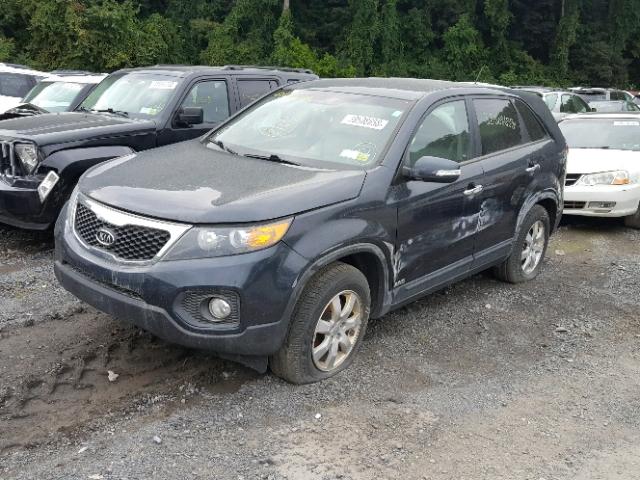 5XYKTDA65DG346118 - 2013 KIA SORENTO LX BLUE photo 2