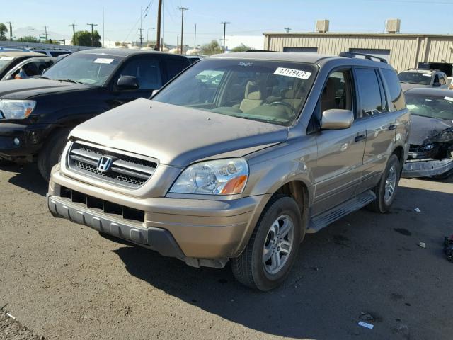 5FNYF18455B027167 - 2005 HONDA PILOT EX GOLD photo 2