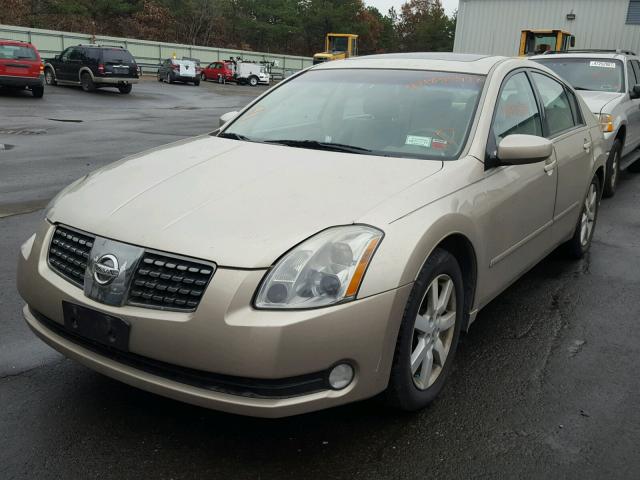 1N4BA41E74C894208 - 2004 NISSAN MAXIMA SE BEIGE photo 2